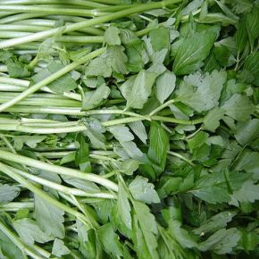 Rau cần nước