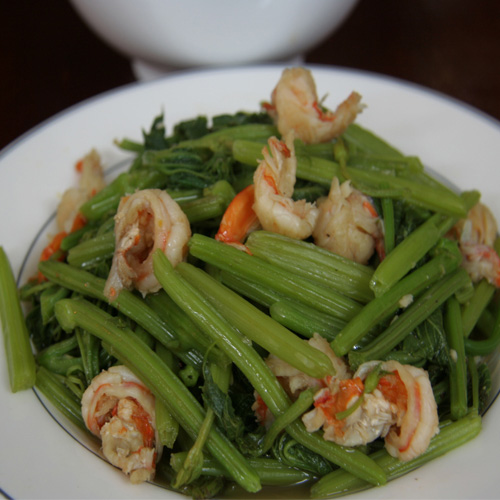 Đọt bí